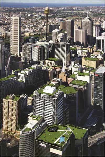 Is this the future of Sydney? Green roofs are becoming a vital part of city living. 