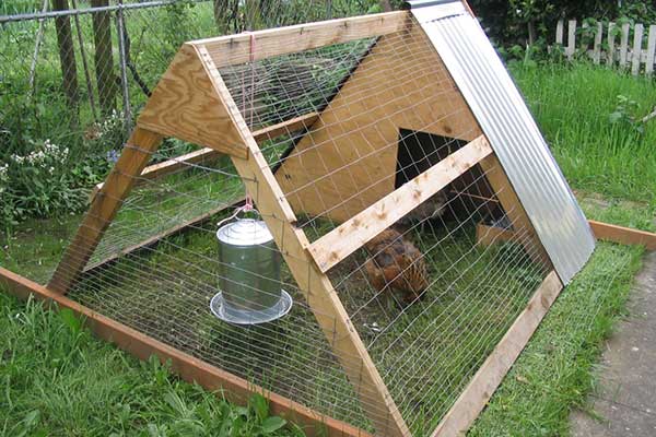 Chicken-coop-a-frame