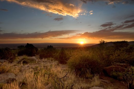 shutterstock_79377160