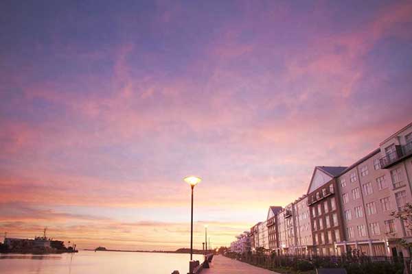 HoneysucklePromenade_002