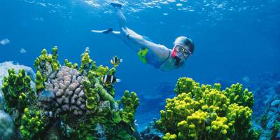 Government had fears for report's impact on tourism. 