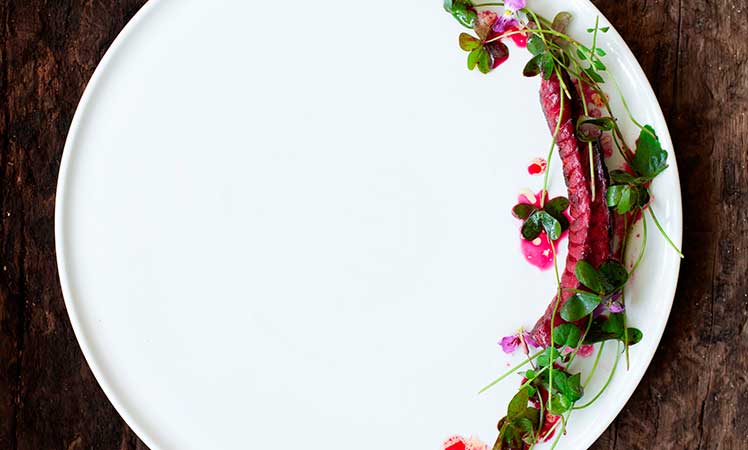 Rodolfo-Guzman_Baunco