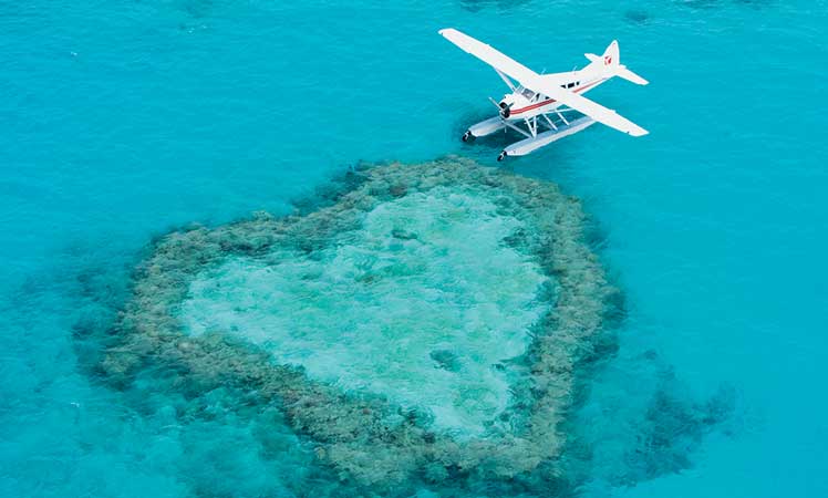 Heart Reef is known to millions.