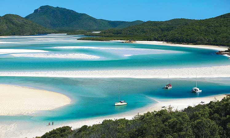 Whitehaven is one of the world's most iconic beaches.