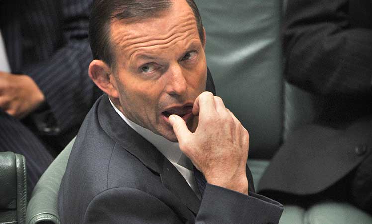abbott-manly
