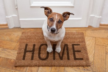 mon_shutterstock_090114_welcomemate