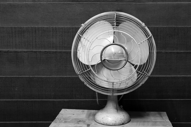 Electric fan