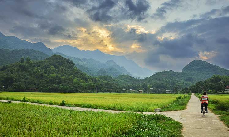 cycle-vietnam