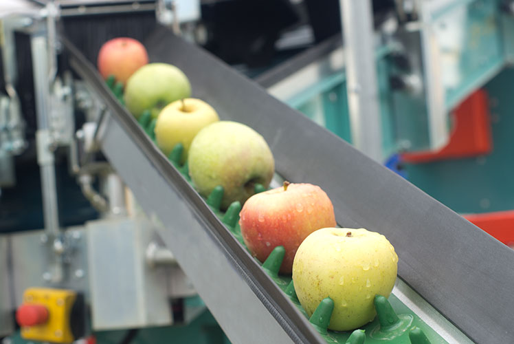 mon_shutterstock_190314_apples