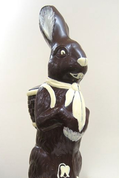 Handsome-Harry-Hare