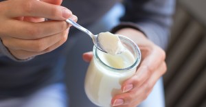 Yoghurt