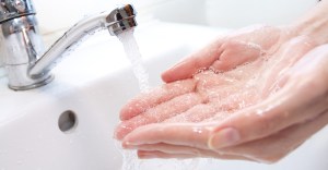 Hands