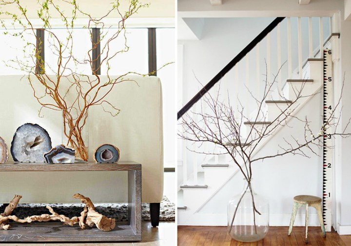 4 Branches