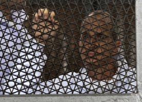 Peter Greste