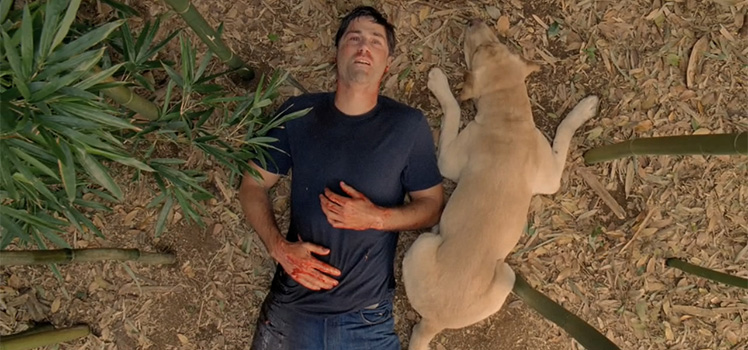 thenewdaily_supplied_270514_lost_finale