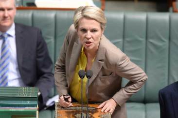 Tanya Plibersek