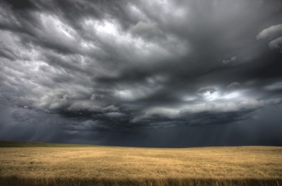 newdaily_230614_weather3