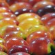 Apples
