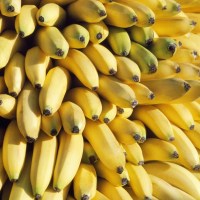 Bananas. Source: AAP.