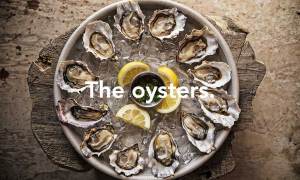 hog-island-oyster
