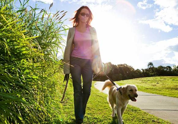 The routine and consistency around caring for pets can be helpful.