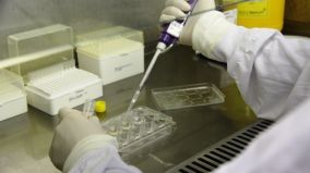 Medical Research
