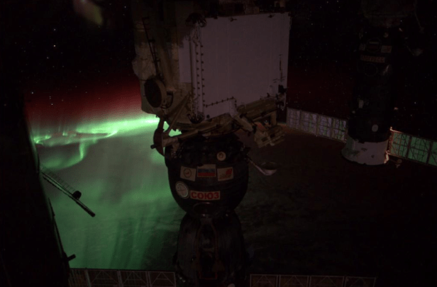 Photo: Twitter @astro_reid