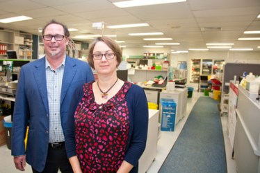 Dr Laman Langguth and Dr Janet Davies have trialled the first accurate blood test for hay fever. Source: Supplied.