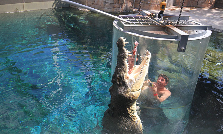 crocosauruscove