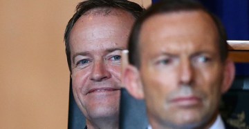 newdaily_040914_abbott_shorten