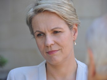 WA LABOR SENATE CAMPAIGN LAUNCH