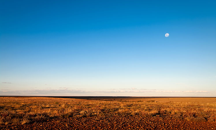 sturt-national-park