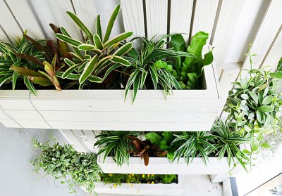 vertical-garden