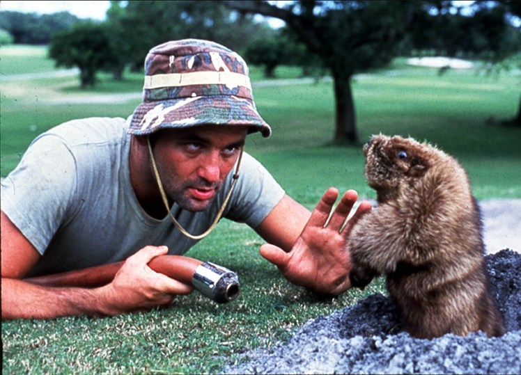 Bill-Murray-Caddyshack-1