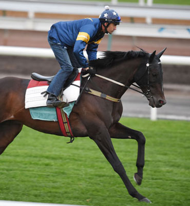 Araldo during his preparation for The Cup. Photo: Getty