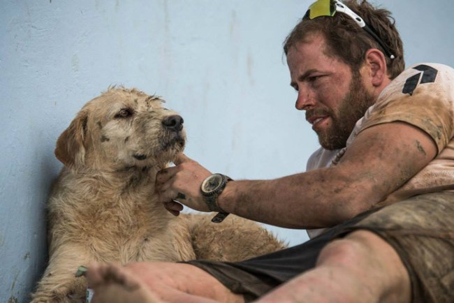 Arthur stray dog Ecuador Swedish Team Peak Performance