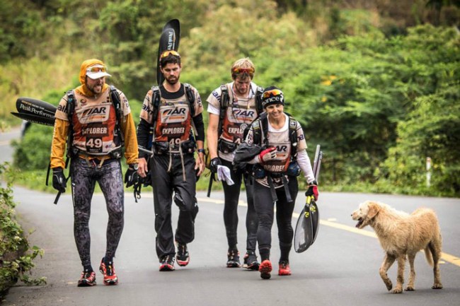 Arthur stray dog Ecuador Swedish Team Peak Performance