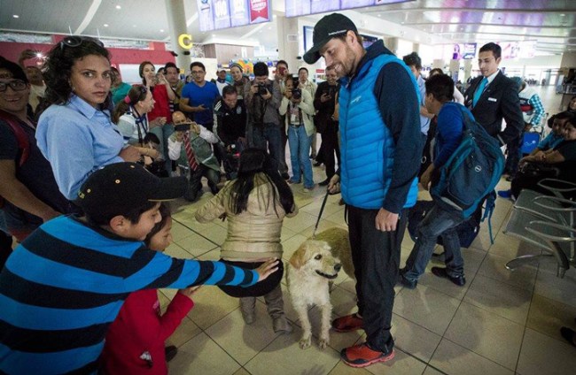 Arthur stray dog Ecuador Swedish Team Peak Performance