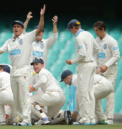 How can any of these players be asked to play Test cricket next week? Photo: Getty