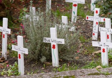 Red poppies at graves of war dead