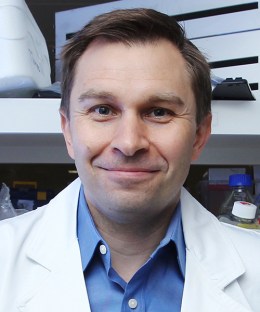 David Sinclair