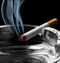 Cigarette