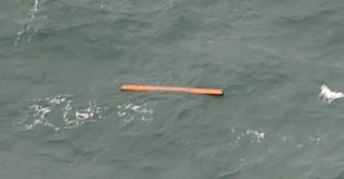 debris-301214-newdaily