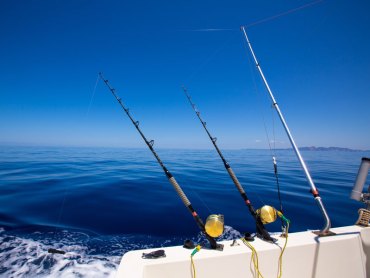 fishing rods