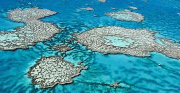 Queensland great barrier reef
