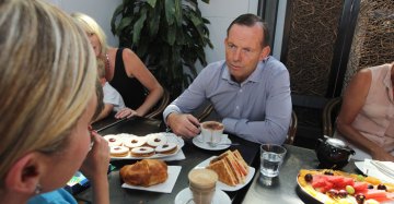 Tony Abbott