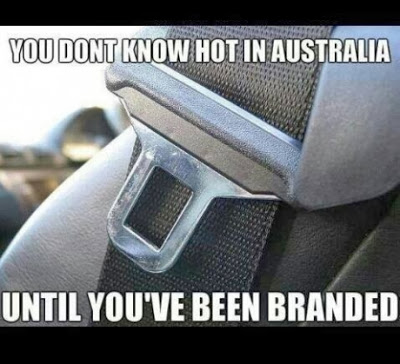 Seatbelt branding you