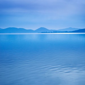 Shutterstock