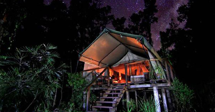 paperbark-camp-tent