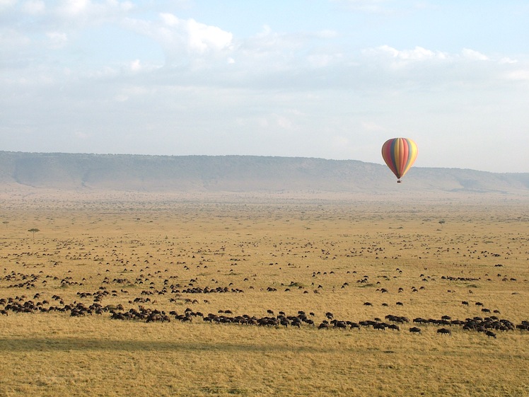 TRAVEL KENYA MOSES